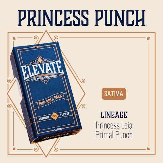 Elevate Missouri - Princess Punch - 5g Pin Pack - 1