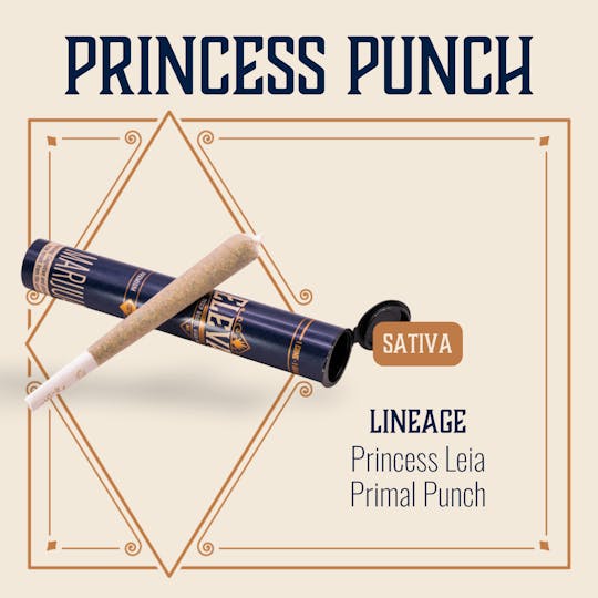 Elevate Missouri - Princess Punch - 1g Cone - 1