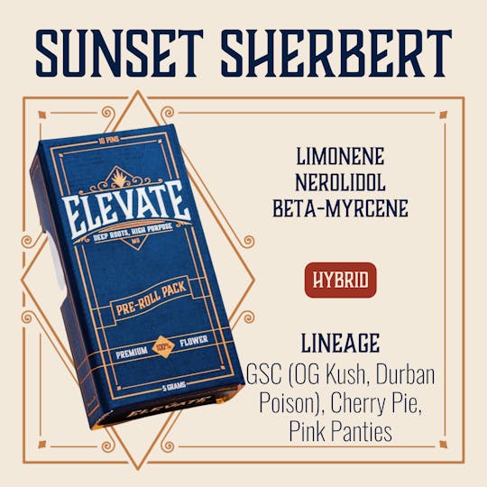 Elevate Missouri - Sunset Sherbert - 5g Pin Pack - 1