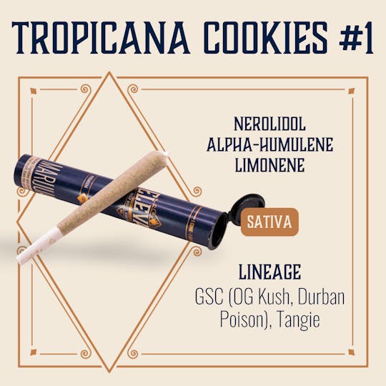 Elevate Missouri - Tropicana Cookies #1 - 1g Cone - 1
