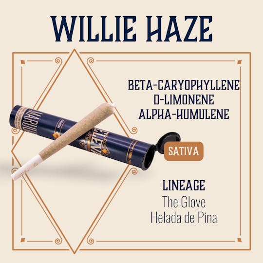 Elevate Missouri - Willie Haze - 1g Cone - 1