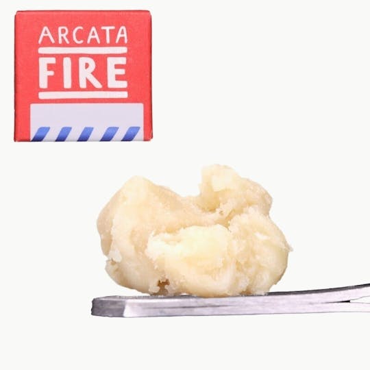 Arcata Fire - Hazelnut Cream - Live Rosin (1g) - 1