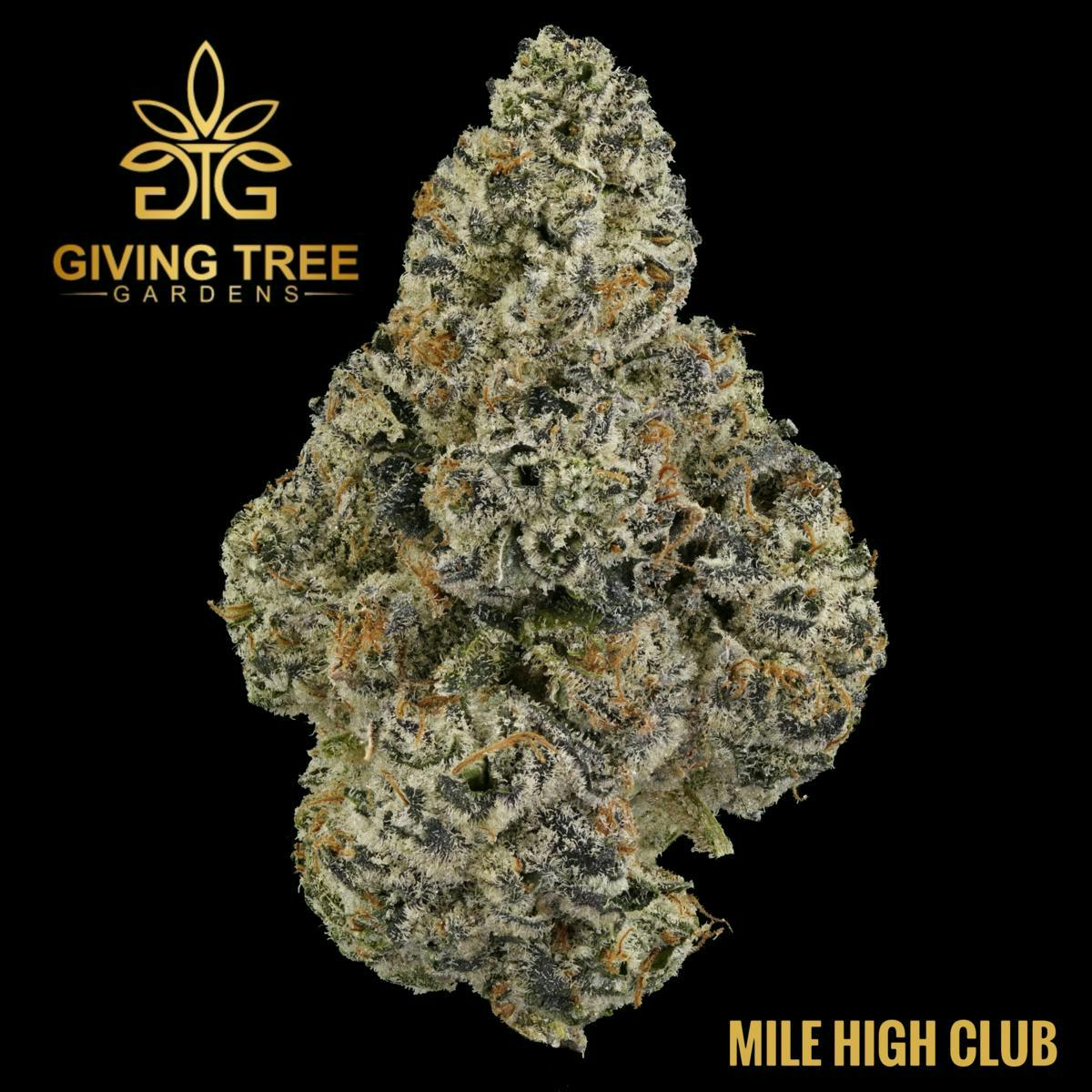 Giving Tree Gardens - Mile High Club - 3.5g Flower - 1