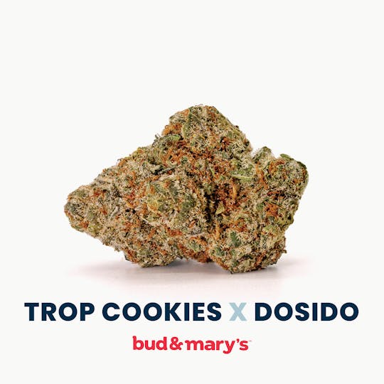 Bud & Mary's - Dosido Trop Cookies - 1g Pre-roll - 1