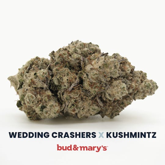 Bud & Mary's - Wedding Crashers x Kushmintz - 1g Pre-roll - 1