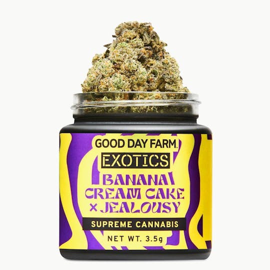 GOOD DAY FARM - GDF: Flower | Banana Cream Cake x Jealousy | 3.5g - 1