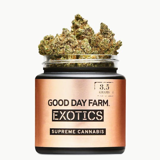 GOOD DAY FARM - GDF: Flower | Blackberry Moonshine | 3.5g - 1