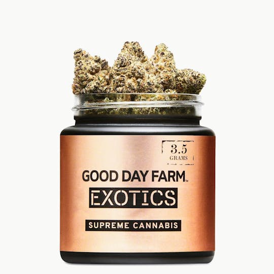 GOOD DAY FARM - GDF: Flower | Devil Driver | 3.5g - 1