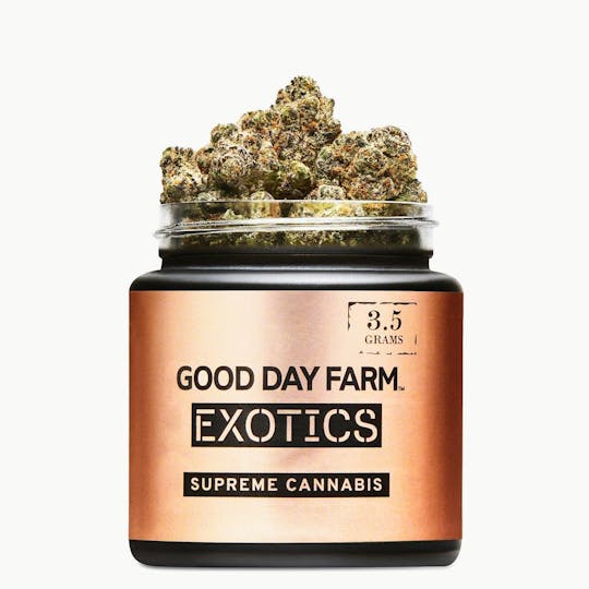 GOOD DAY FARM - GDF: Flower | El Chivo #20 | 3.5g - 1