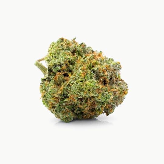 GOOD DAY FARM - GDF: Flower | Gush Mintz #8 | 3.5g - 1