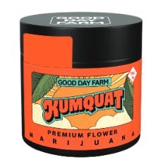 GOOD DAY FARM - GDF: Flower | Kumquat | 3.5g - 1