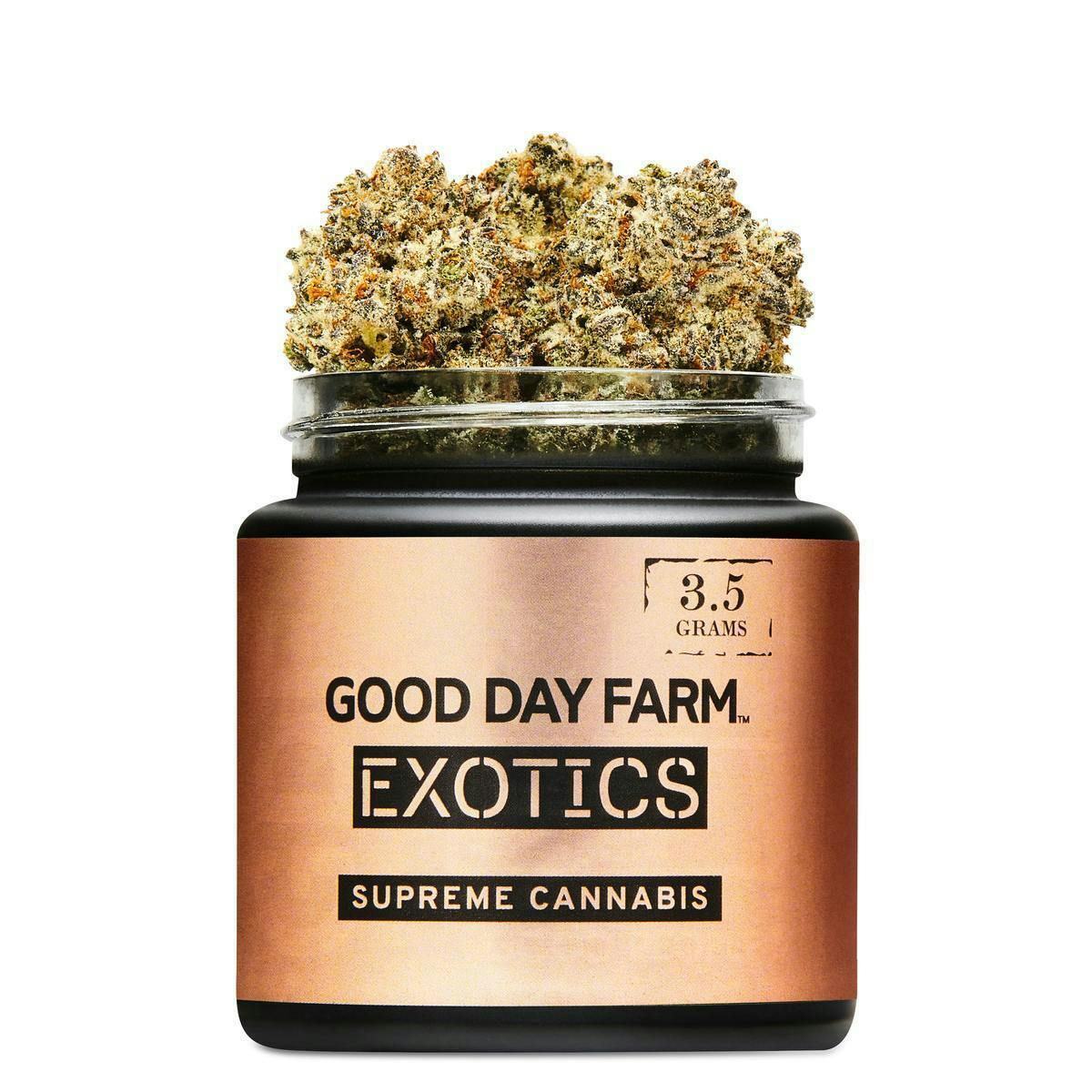 GOOD DAY FARM - GDF: Flower | Oreoz | 3.5g - 1