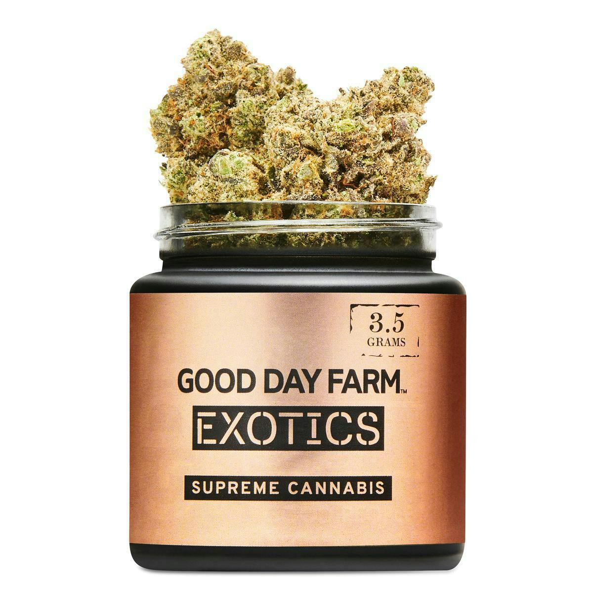 GOOD DAY FARM - GDF: Flower | Original Z x Gush Mintz | 3.5g - 1