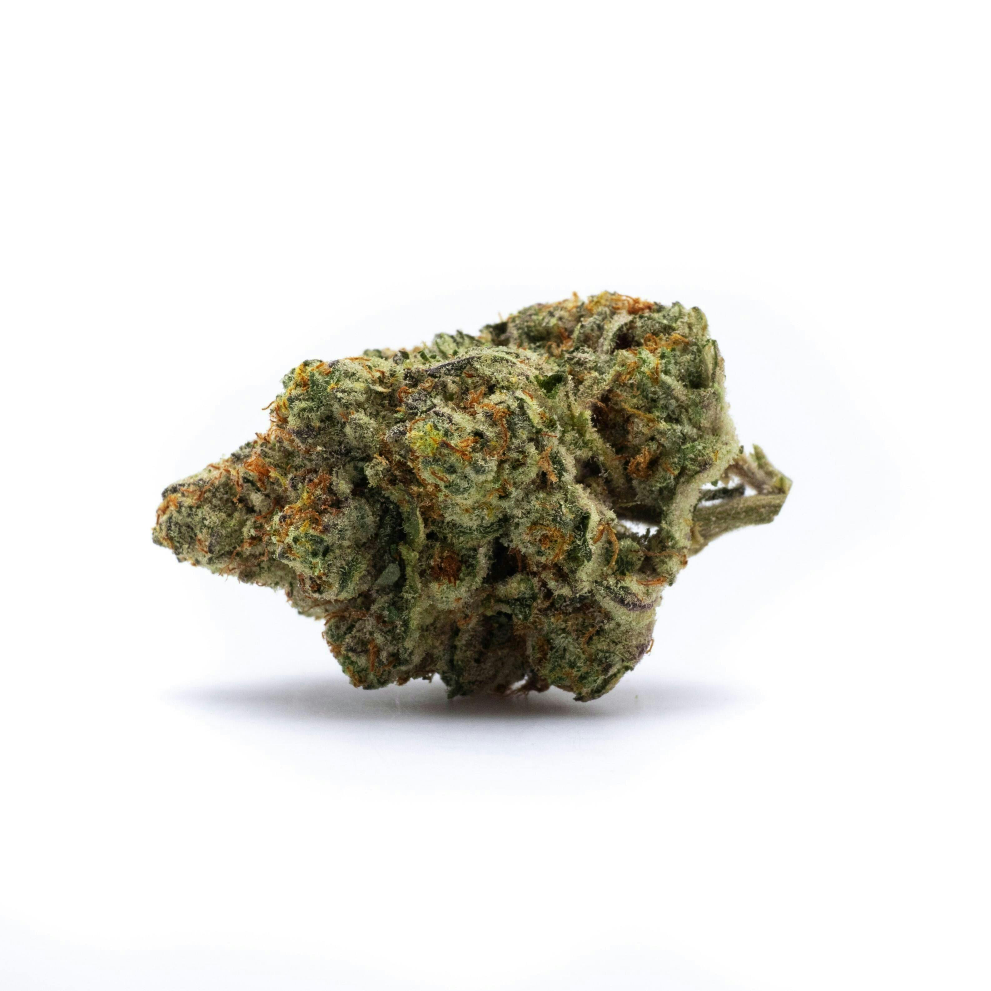 GOOD DAY FARM - GDF: Flower | Payton's Pie | 3.5g - 1