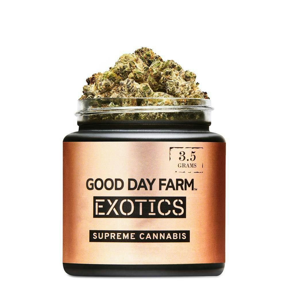 GOOD DAY FARM - GDF: Flower | Pienana | 3.5g - 1