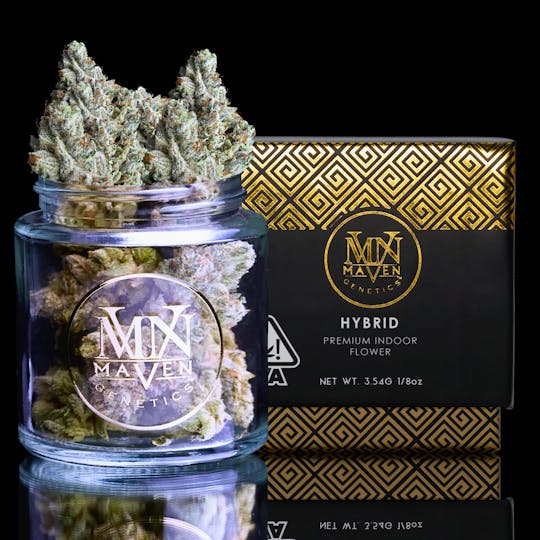 Maven Genetics - Silver Iris OG - 1