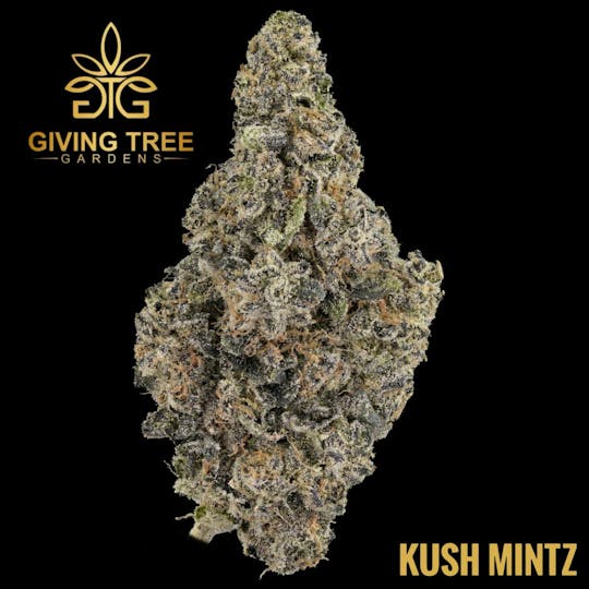Giving Tree Gardens - Kush Mintz - 3.5g Flower - 1