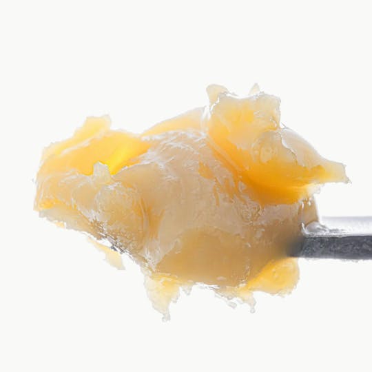 West Coast Cure - Sherbanger Live Resin Badder - 1