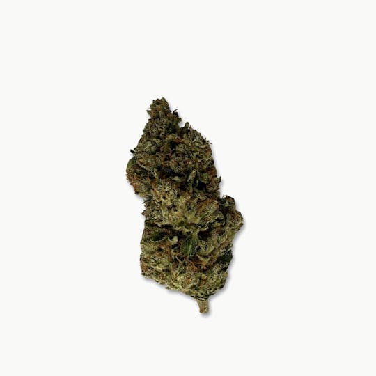 Indico - Sour Fuel - Stella's Farm - 1