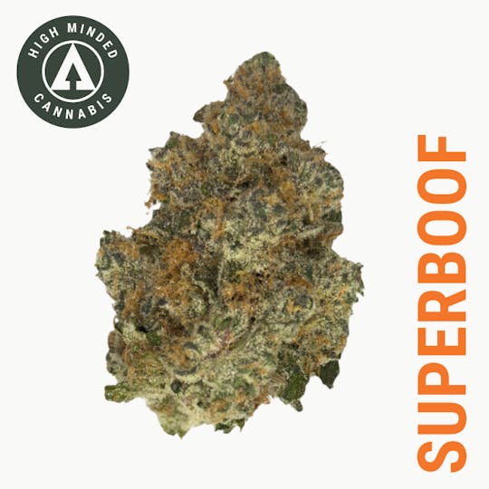 High Minded - Superboof - 1