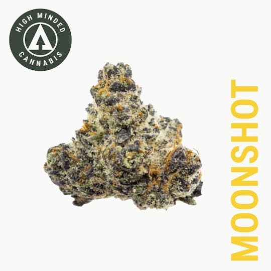 High Minded - Moonshot - Platinum Tier - 1