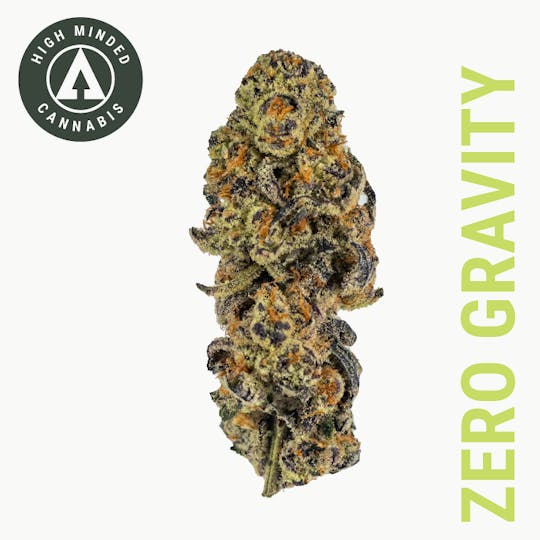 High Minded - Zero Gravity - 1
