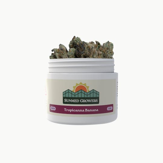 SunMed Growers - Tropicanna Banana Flower (3.5g) - 1