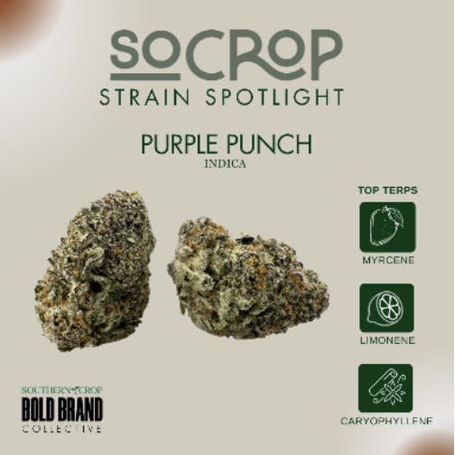 Southern Crop - Soar | Purple Punch Flower | 3.5g - 1