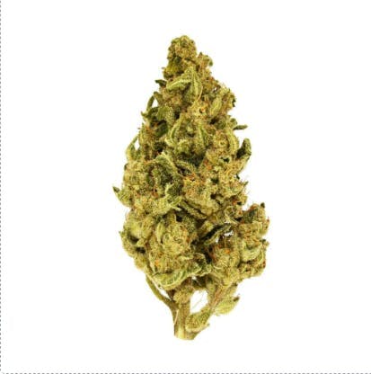 Smoakland - Smoakland Xclusivez | Candy Kush (H) | Big Buds | 28g - 1