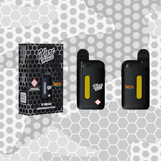 Ware Hause - WARE HAUSE 5 Gram Disposable - TANGERINE DREAM - 1