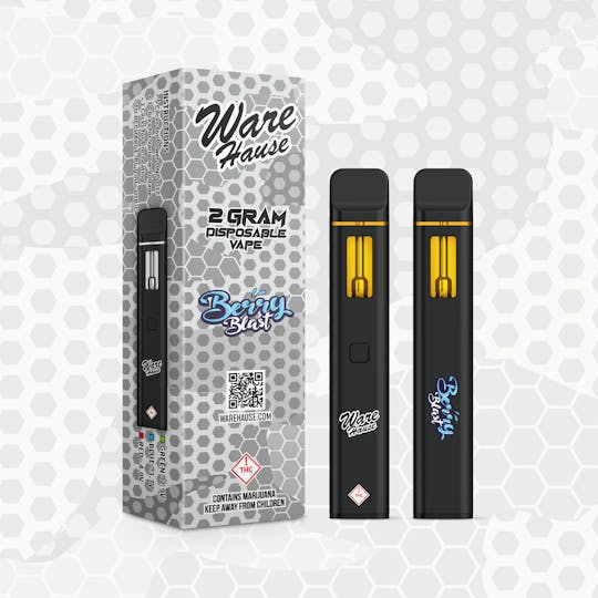 Ware Hause - WARE HAUSE 2 Gram Disposable - BERRY BLAST - 1