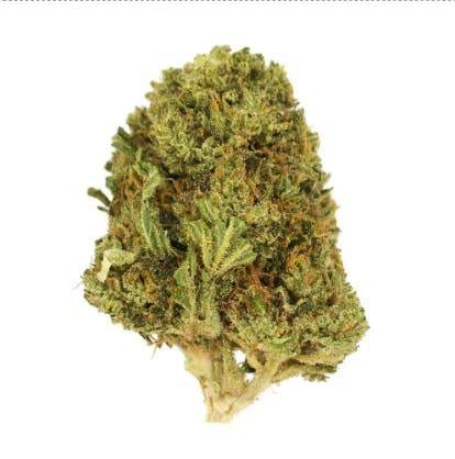 Smoakland - Smoakland Xclusivez | Triangle Kush (I) | Big Buds | 28g - 1