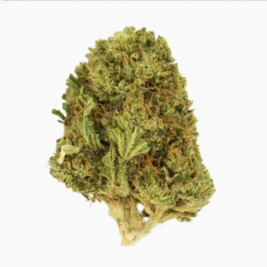 Smoakland - Smoakland Xclusivez | Triangle Kush (I) | Big Buds | 28g - 1