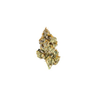 Smoakland - Smoakland Xclusivez | Oreoz | Big Buds | 28g - 1