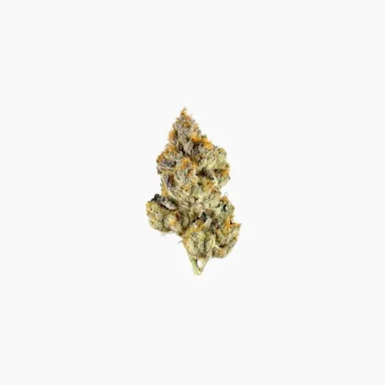 Smoakland - Smoakland Xclusivez | Oreoz | Big Buds | 28g - 1