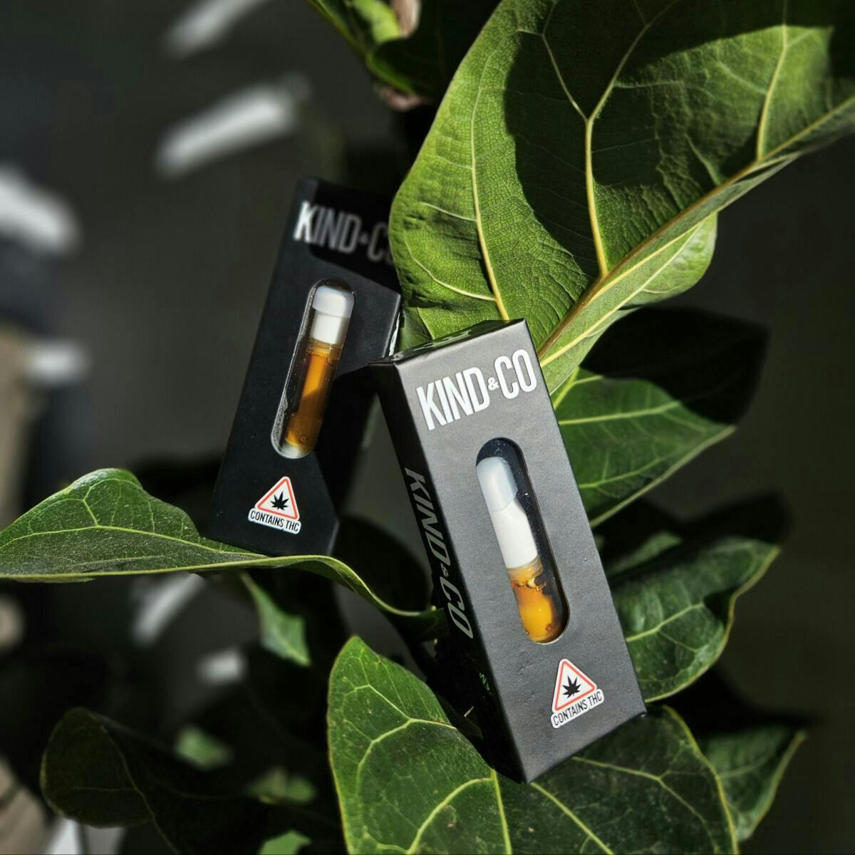 Kind & Co - Krampus Cured Resin Cart // 1g - 1