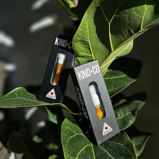 Kind & Co - 100 Proof Cured Resin Cart // 0.5g - 1