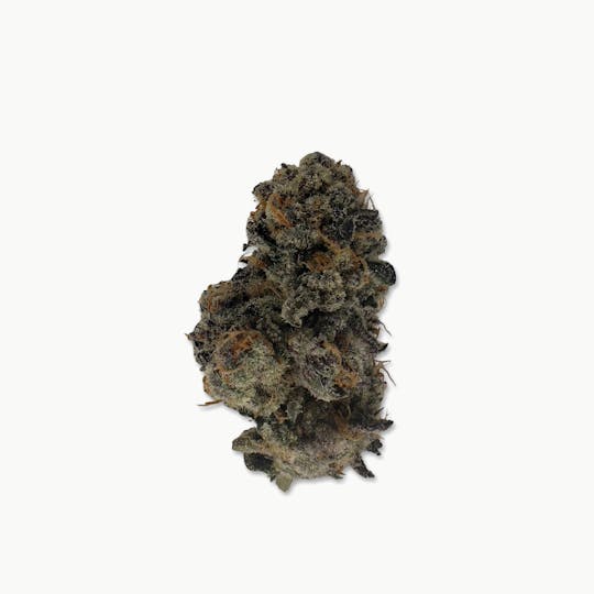 Indico - Ruby Grand - Brave Boat Gardens - 1