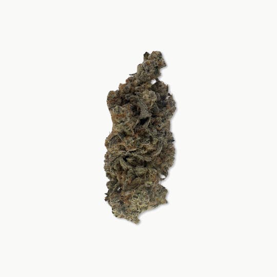Indico - Grape Essence - Brave Boat Gardens - 1
