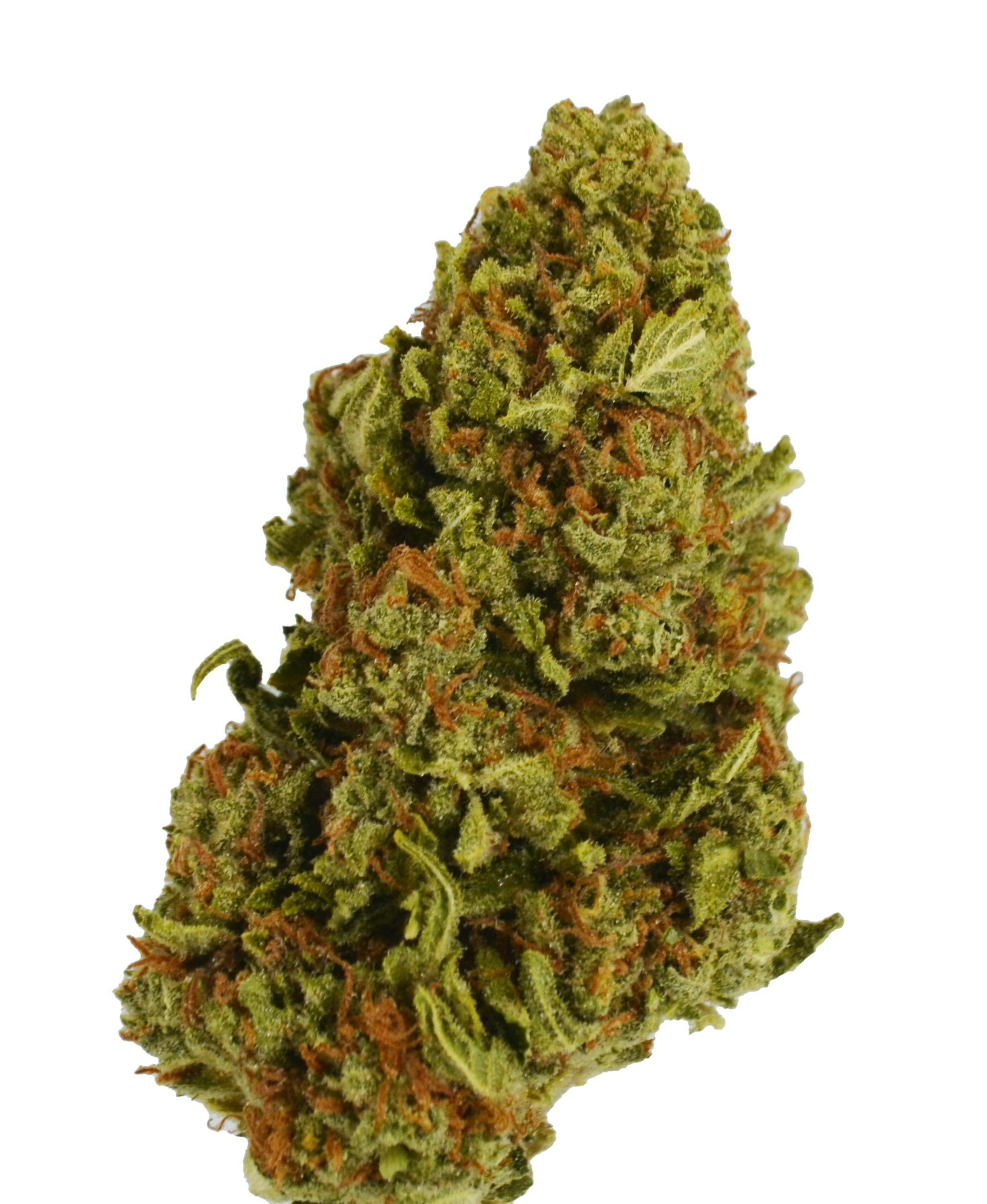 Smoakland - Smoakland | Triangle Kush | Big Buds | 3.5g - 1