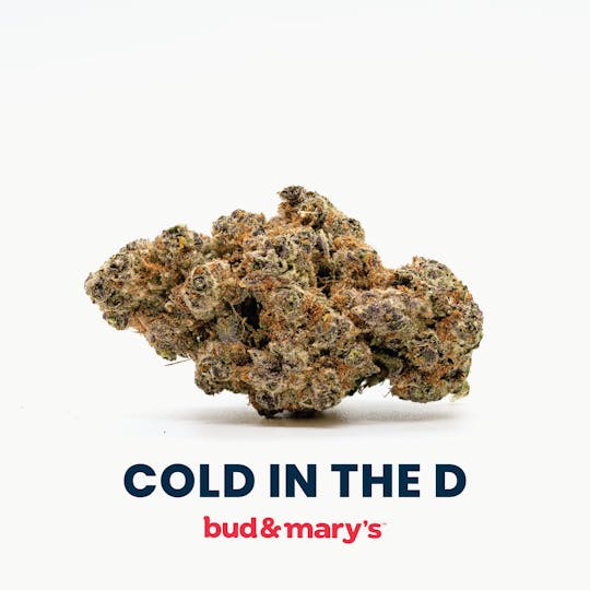 Bud & Mary's - Cold in the D - 1g Pre-roll - 1