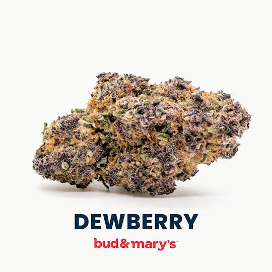 Bud & Mary's - Dewberry - 1g Pre-roll - 1