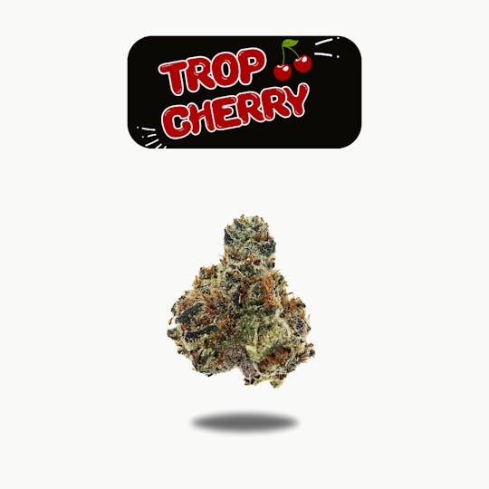 Oakfruitland (OFL) - Trop Cherry Premium Flower 7g - White Label Series - 1