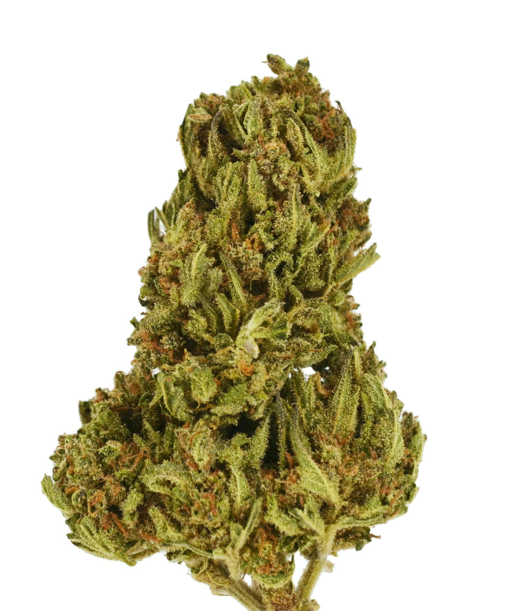 Smoakland - Smoakland Xclusivez | Hawaiian Runtz | Big Buds | 28g - 1