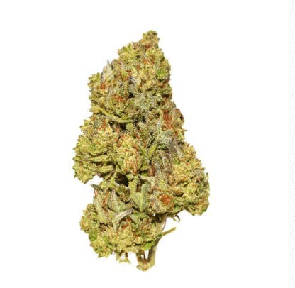 Smoakland - Smoakland Black | Back to Banana | Big Buds | 14g - 1