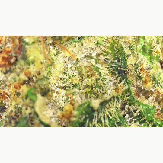 Lights Out - Triple Zour Diezel (Sativa) Flower 3.5g - 1