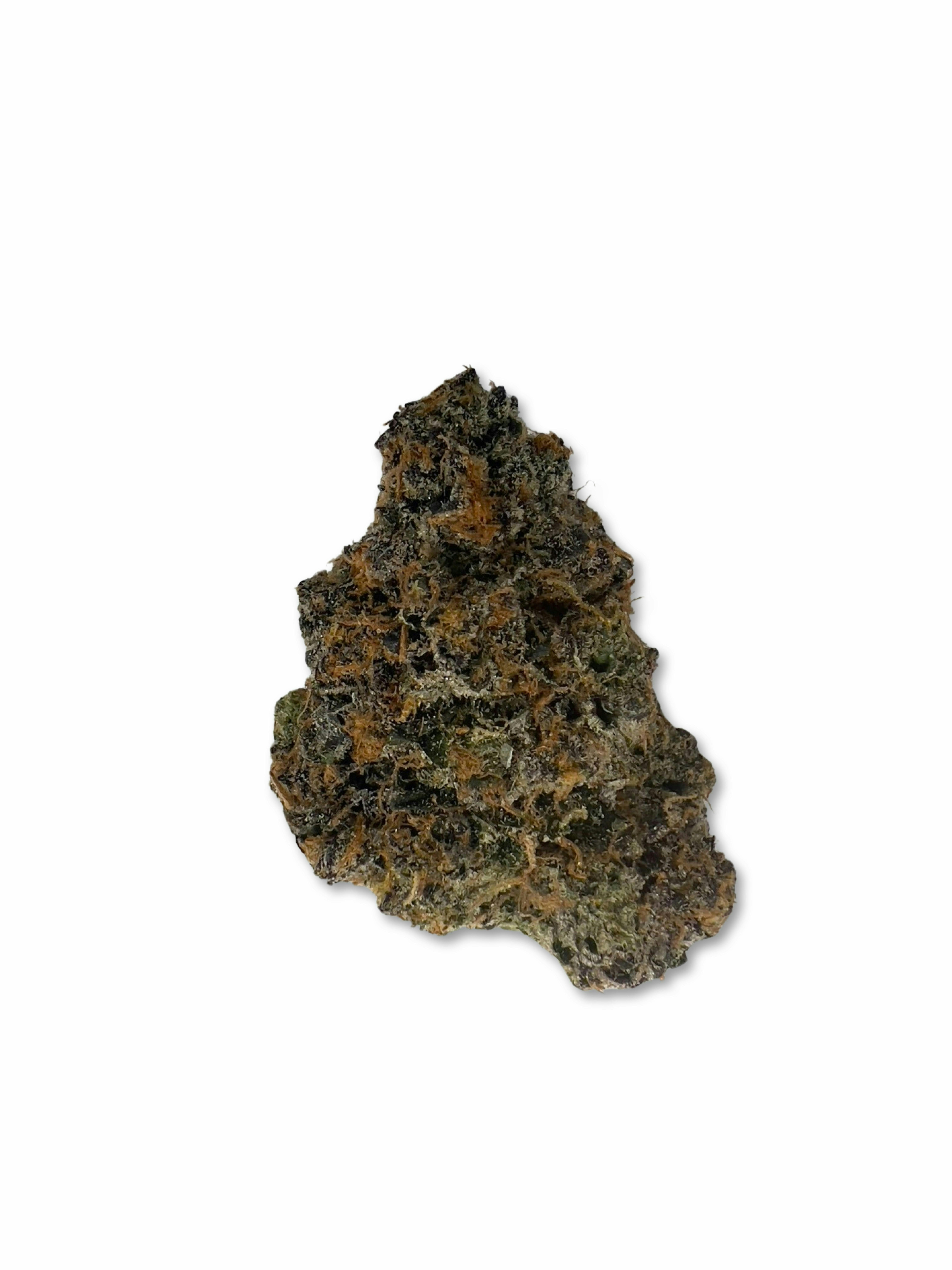 Indico - Garlic Sherb - Oasis - 1