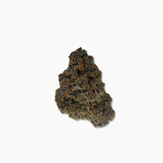 Indico - Garlic Sherb - Oasis - 1