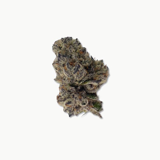 Indico - White Butter Cookies - B's Trees - 1
