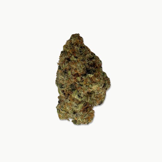 Indico - Shark (Lightly Seeded) - $100 Oz - 1
